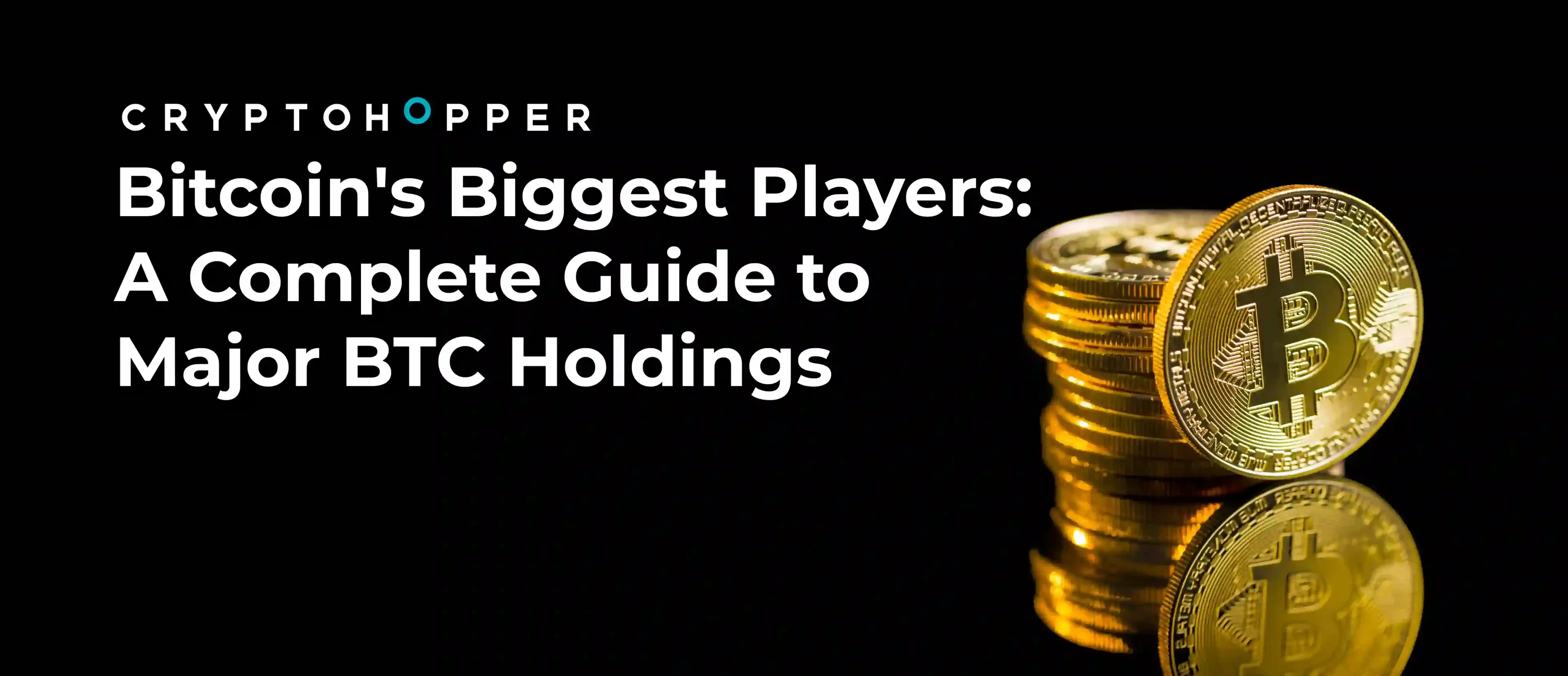 Bitcoin's Biggest Players: A Complete Guide to Major BTC Holdings